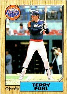 Terry Puhl