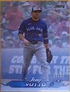 Joey Votto
