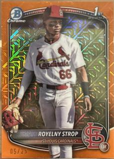 Royelny Strop
