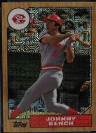 Johnny Bench