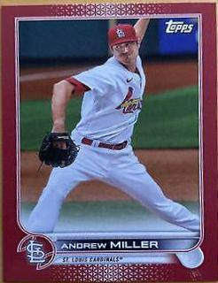 Andrew Miller