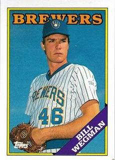 Bill Wegman