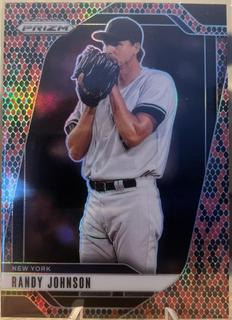 Randy Johnson