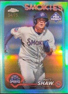 Matt Shaw