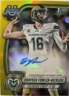 Brayden Fowler-Nicolosi