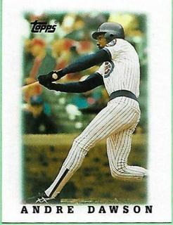 Andre Dawson
