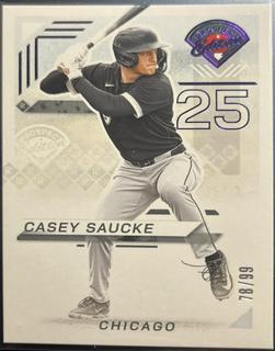 Casey Saucke