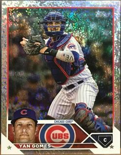 Yan Gomes