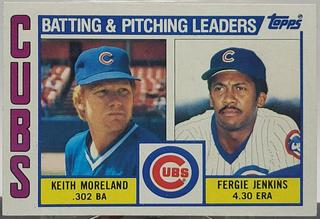 Cubs Leaders