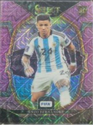 Enzo Fernandez