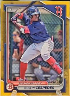 Yoeilin Cespedes