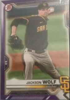 Jackson Wolf
