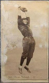 Vic Saier
