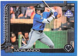 PJ Morlando