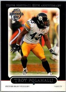 Troy Polamalu