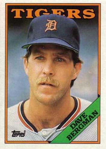 Dave Bergman #289 Baseball Cards 1988 Topps