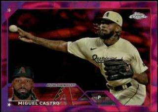 Miguel Castro