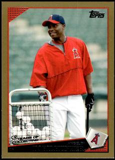 Torii Hunter