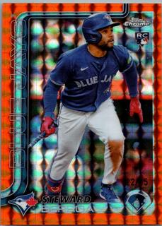 Steward Berroa