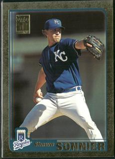 Shawn Sonnier