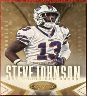 Steve Johnson