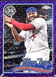 Vladimir Guerrero Jr.