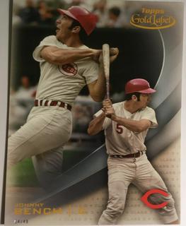 Johnny Bench