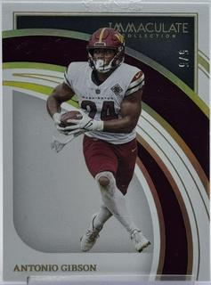 Antonio Gibson