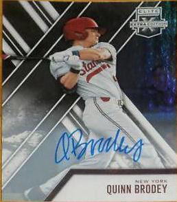 Quinn Brodey