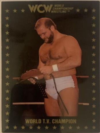 World T.V. Champion #27 Wrestling Cards 1991 Championship Marketing WCW