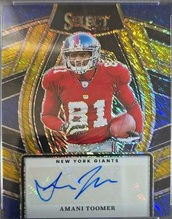 Amani Toomer