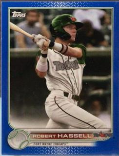 Robert Hassell