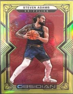 Steven Adams