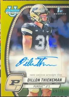 Dillon Thieneman