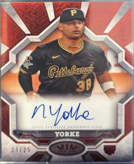 Nick Yorke