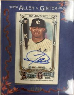 Jasson Dominguez