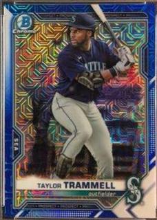 Taylor Trammell