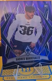 Andres Borregales