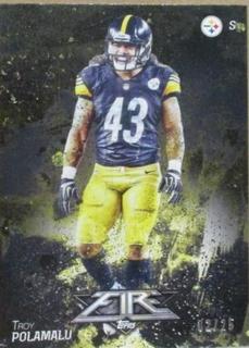 Troy Polamalu