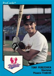 Tony Perezchica