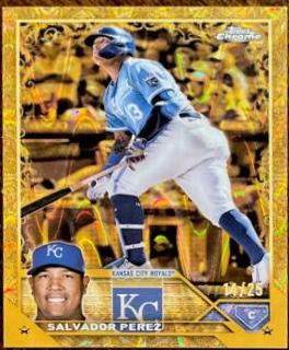 Salvador Perez