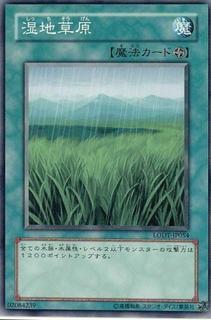 Wetlands LODT-JP054