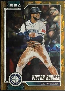 Victor Robles