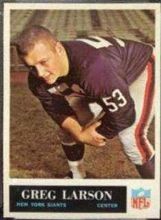 Greg Larson