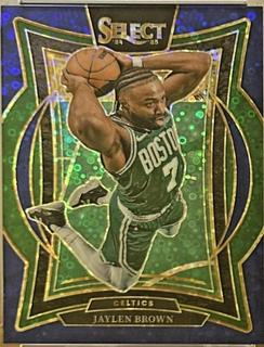 Jaylen Brown