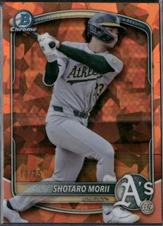Shotaro Morii