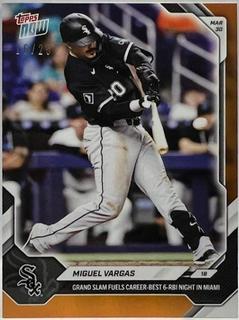 Miguel Vargas