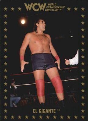 El Gigante #58 Wrestling Cards 1991 Championship Marketing WCW