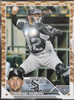 Yasmani Grandal