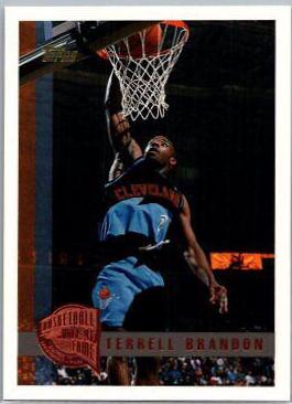 Terrell Brandon #16 Basketball Cards 1997 Topps
